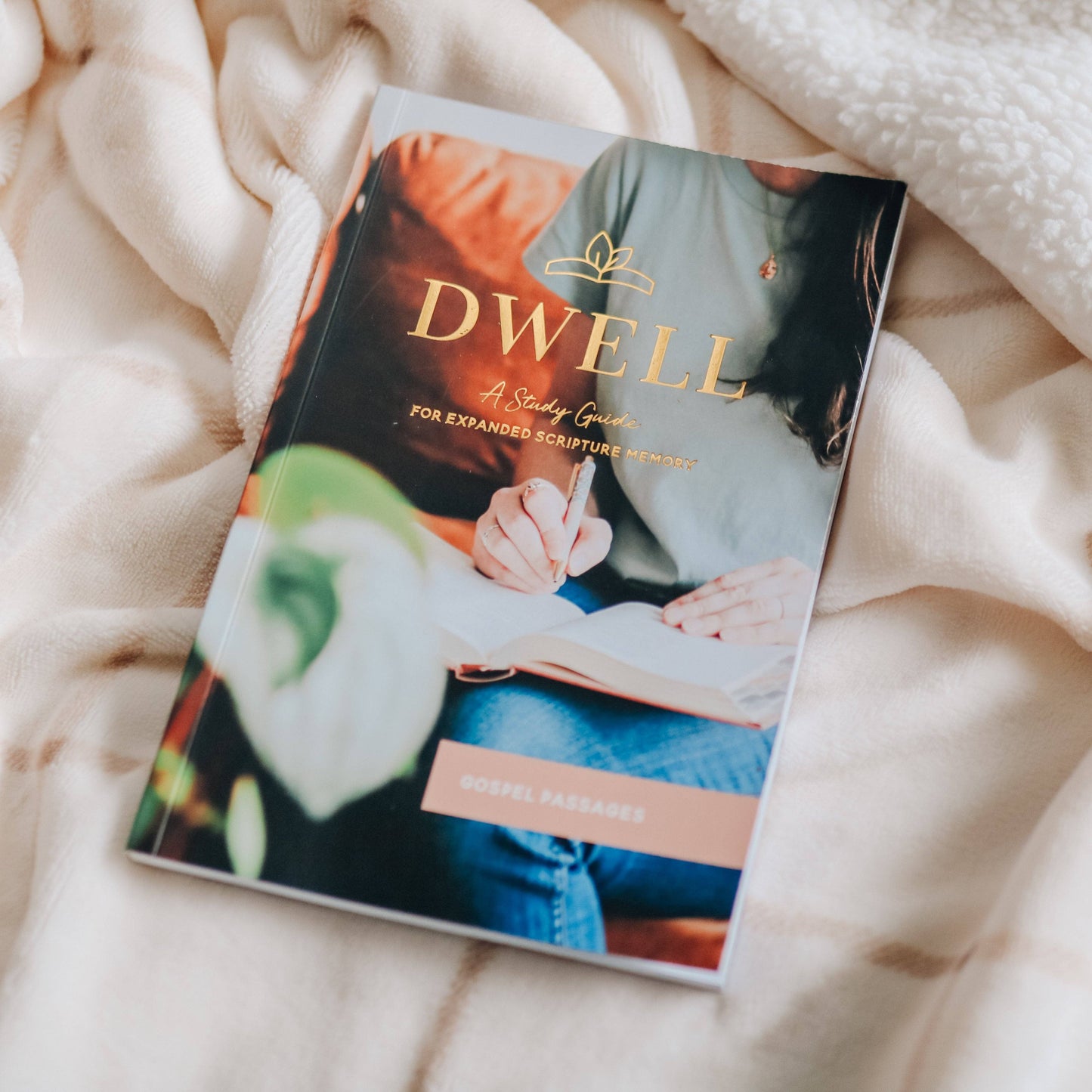 Dwell Scripture Memory Journal | Gospel Passages