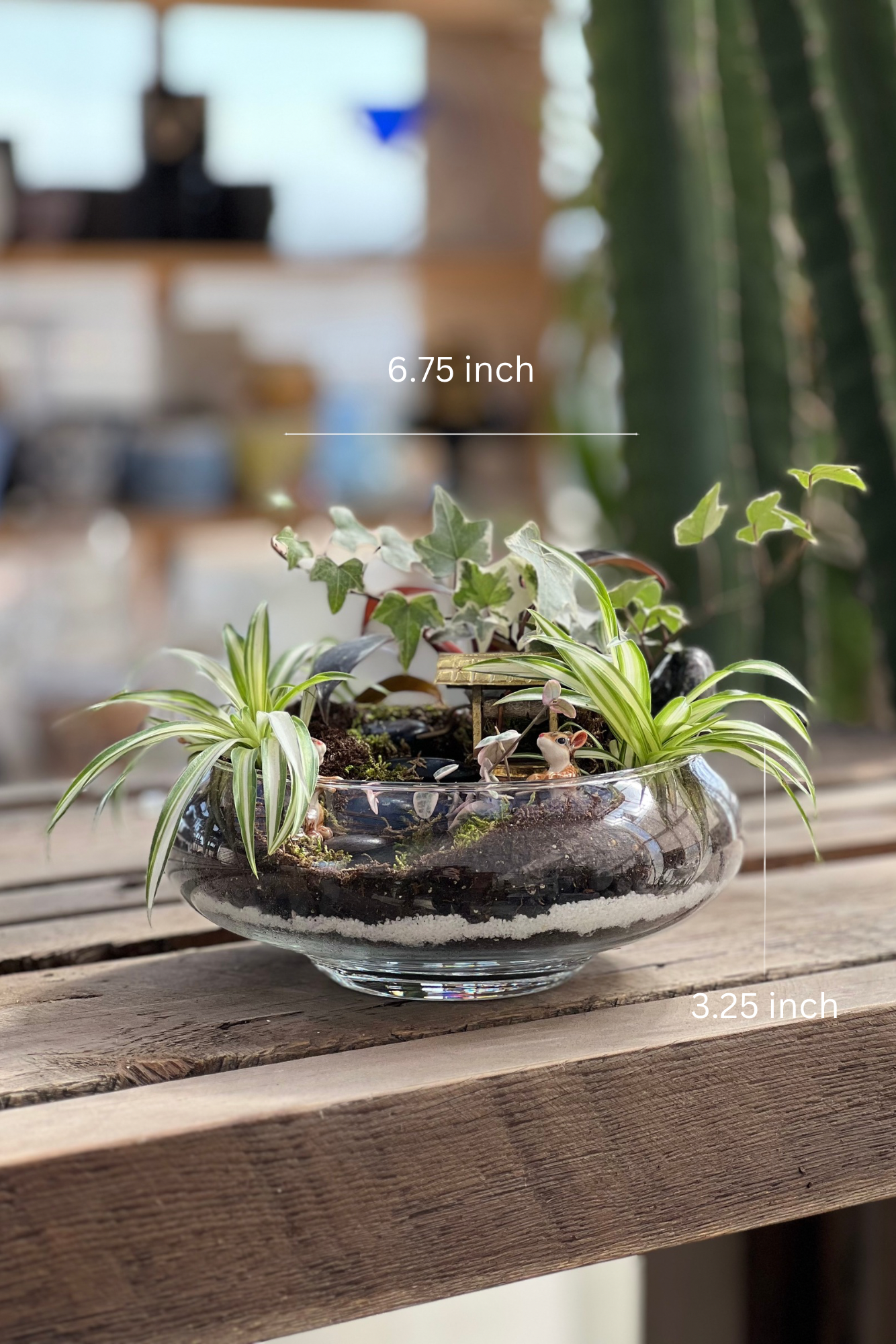Lowland Garden Bowl