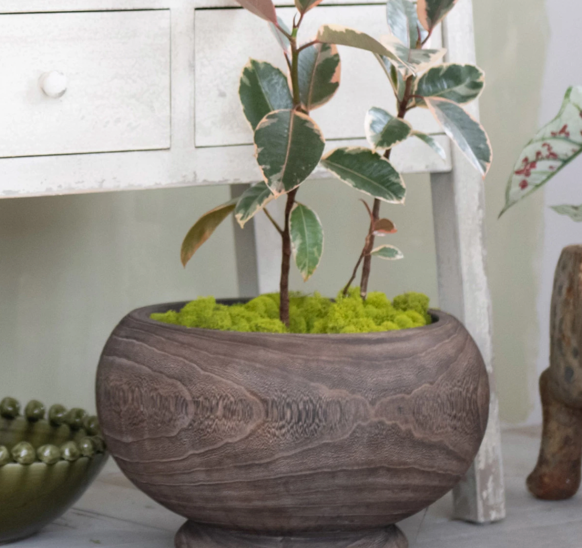 Paulownia Wood Planter, Stained Finish (Holds 8" Pot)