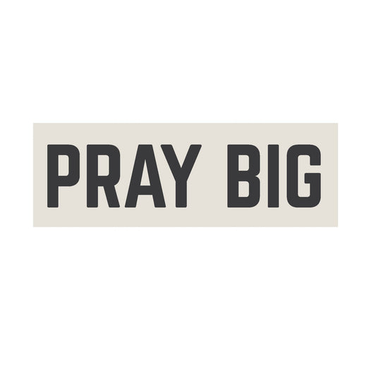 Pray Big Gallery Wrapped Canvas