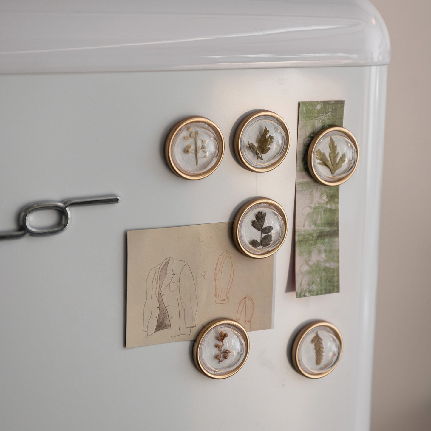 Resin Convex Magnets on Metal Card with Botanicals, Set of 6