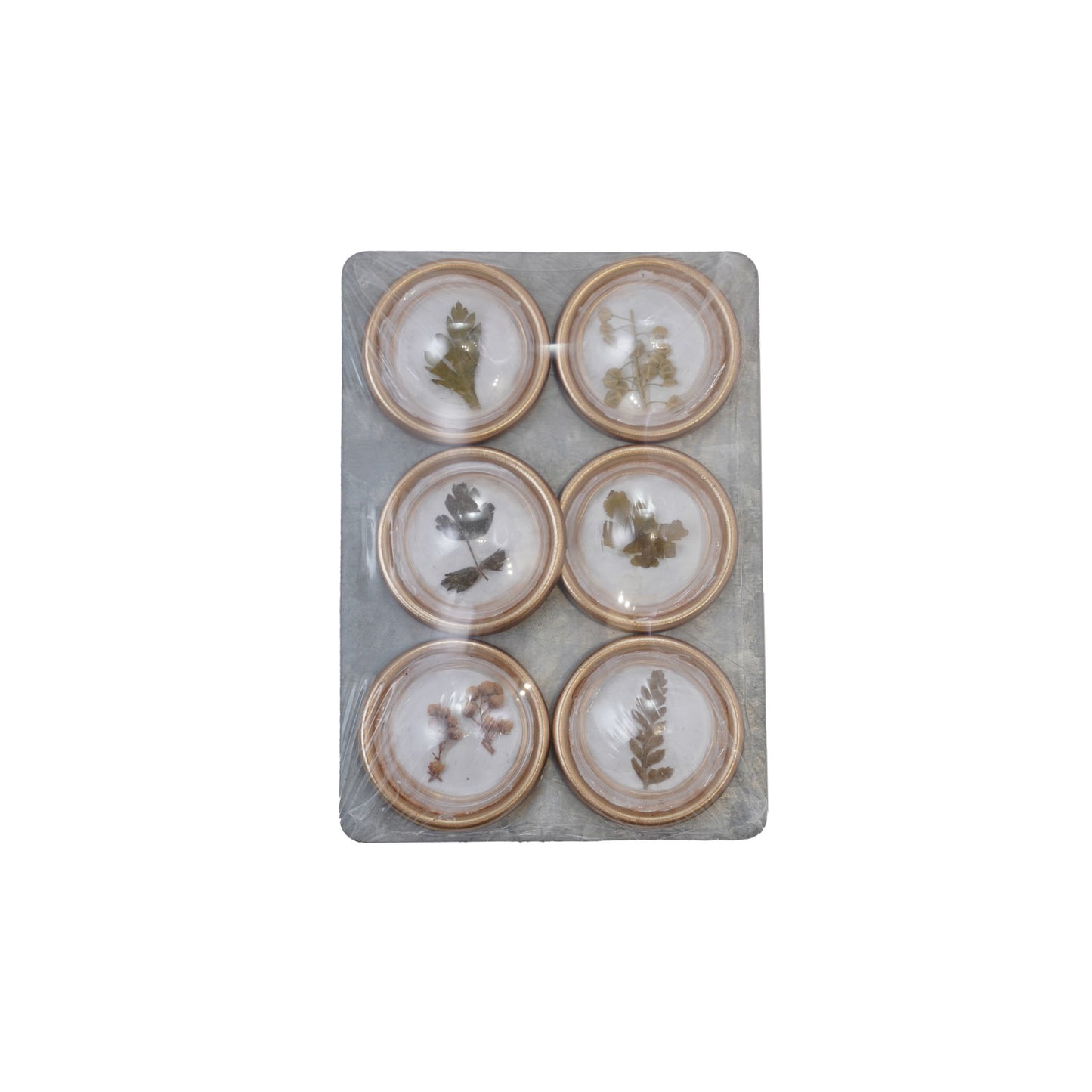 Resin Convex Magnets on Metal Card with Botanicals, Set of 6