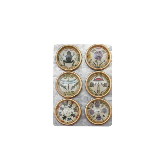 Resin Convex Magnets on Metal Card with Animals & Botanicals & Gold Finish, Set of 6 ©