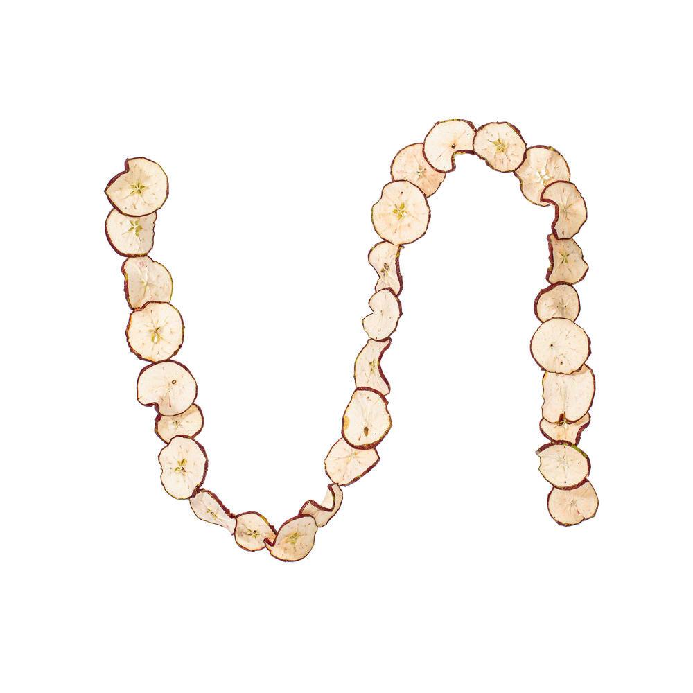 10" Fruit Garland