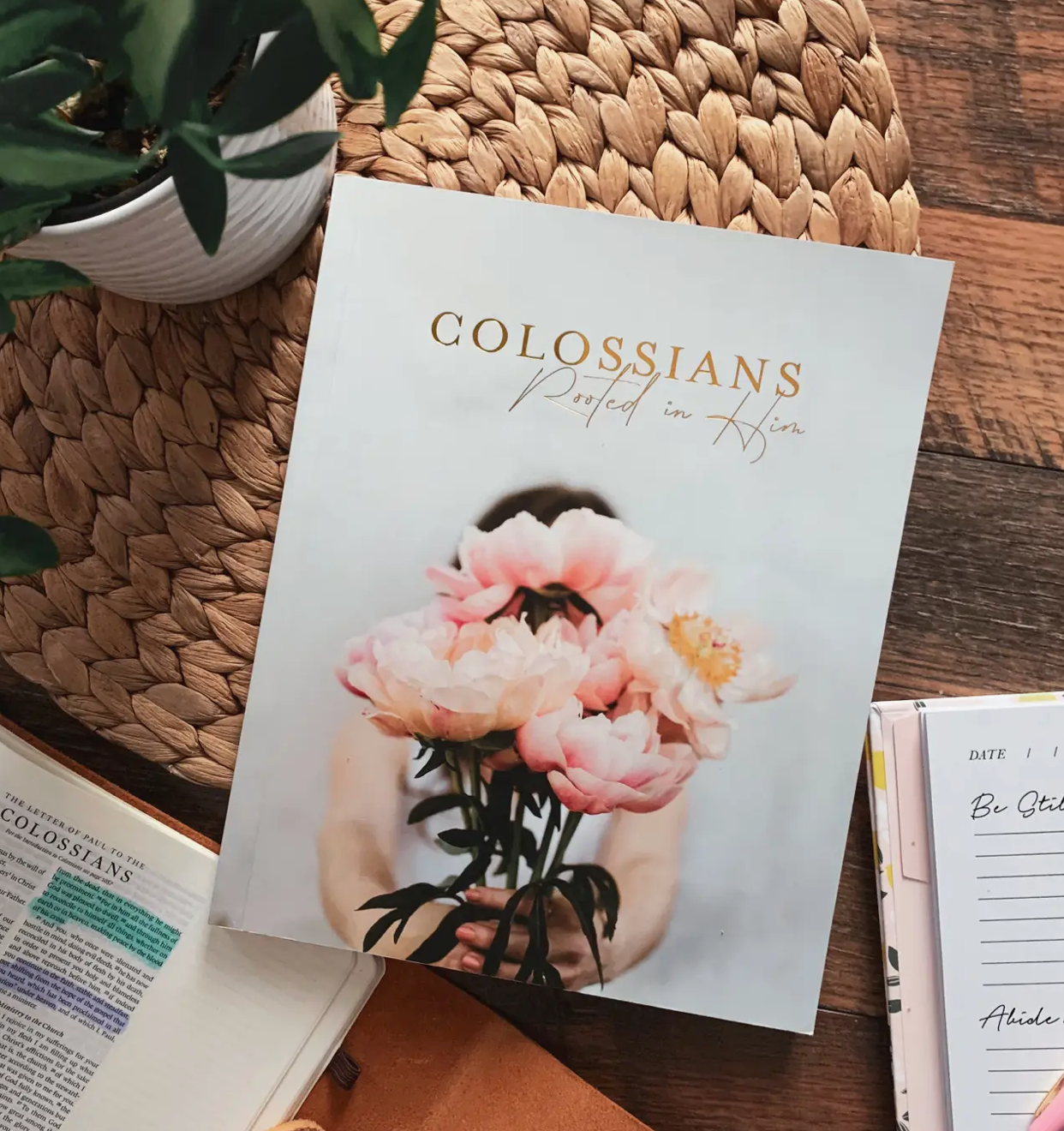 Colossians - Rooted in Him