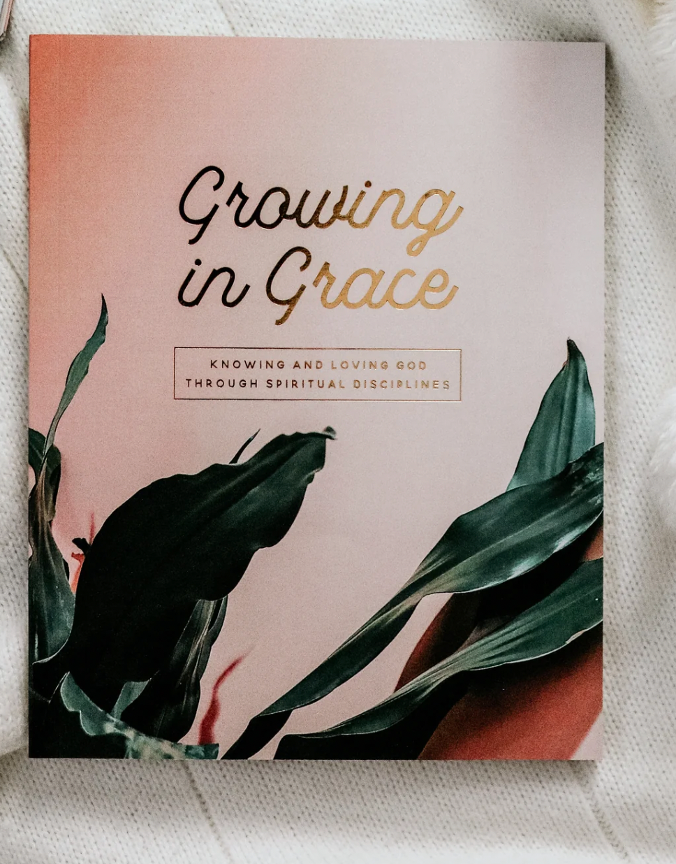 Growing in Grace | Spiritual Disciplines Study