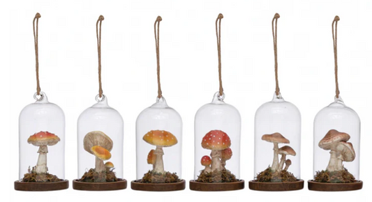 Glass Cloche Ornament with Resin Mushrooms, 6 Styles