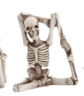 Skeleton in Yoga Pose, 5 Styles