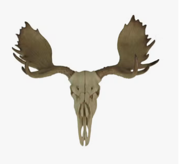Large Lifelike Bull Moose Skull Hanging Wildlife Statue