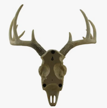 Faux 10 Point Buck Deer Skull 15 Inch Wall Sculpture