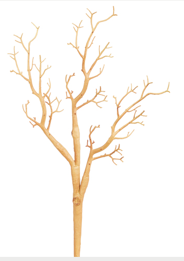 Natural Manzanita Branch