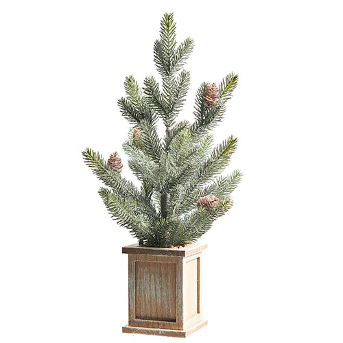 Potted Pine Tree w/ Pinecones