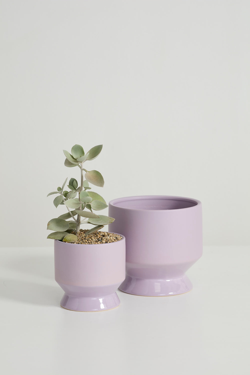 Pasadena Pot