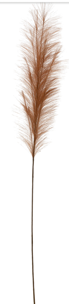 Faux Pampas Grass Plume, Terracotta Color