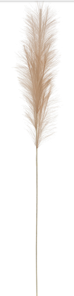 Faux Pampas Grass Plume-Wheat