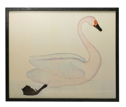 Framed Wall Decor with Swan Image