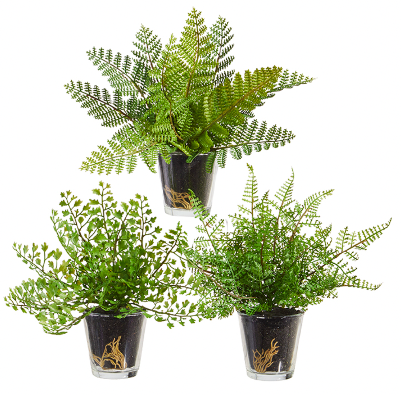 Potted Fern in Glass Vase