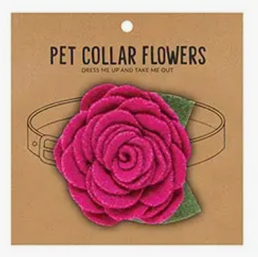 Pet Collar Flower