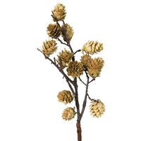 Botanical Stem Mini Pinecone