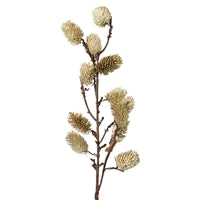 Botanical Stem Mini Pinecone